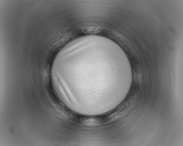 X0000110880460200907021500