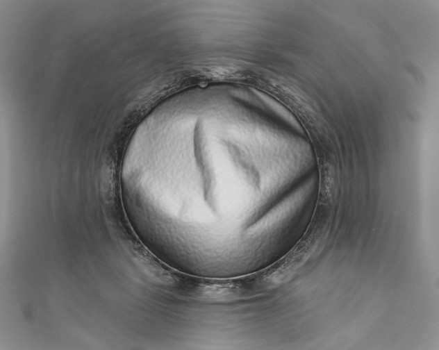 X0000110880461200907021500