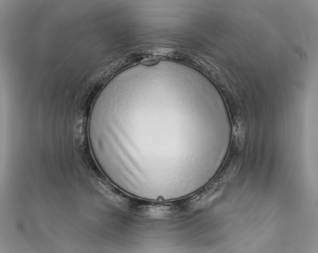 X0000110880462200907021500
