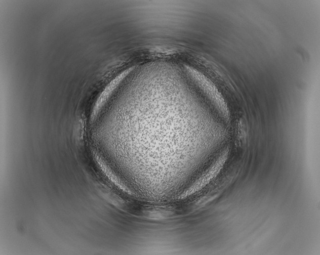 X0000110880463200907021500