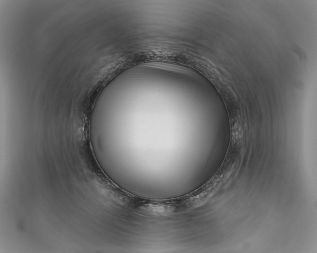 X0000110880464200907021500