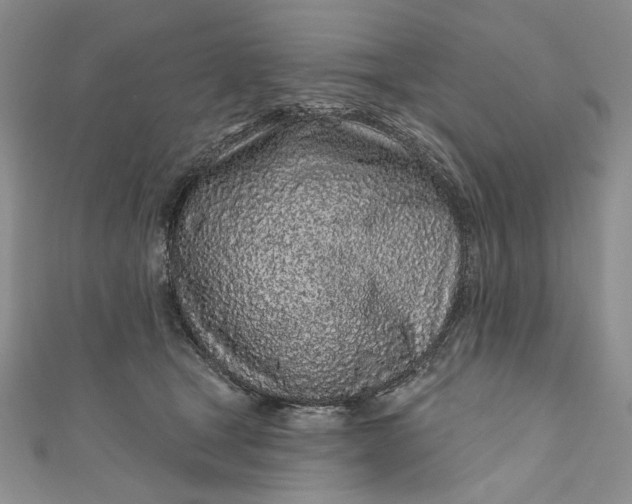 X0000110880465200907021500
