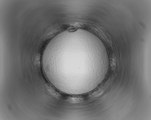 X0000110880466200907021500