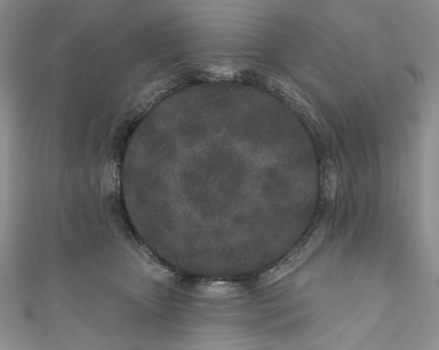 X0000110880467200907021500