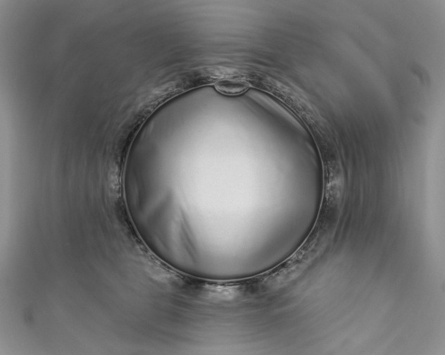 X0000110880469200907021500
