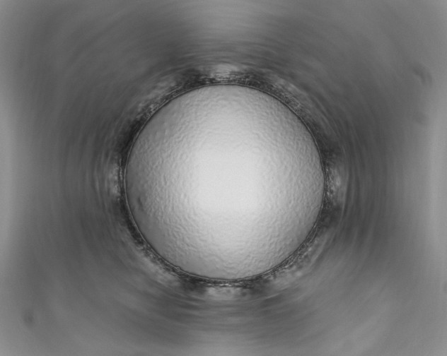 X0000110880470200907021500