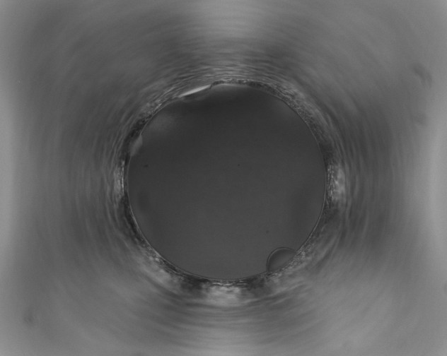 X0000110880471200907021500