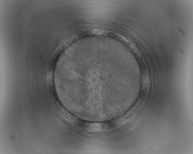 X0000110880473200907021500