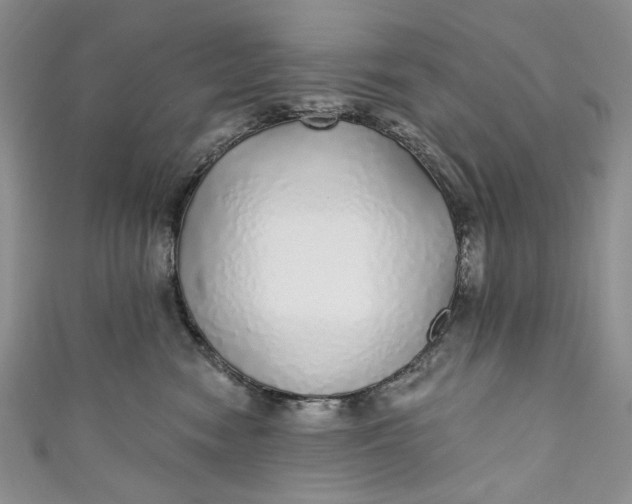 X0000110880474200907021500