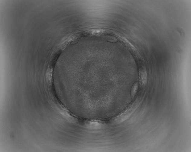 X0000110880475200907021500