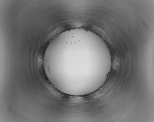 X0000110880476200907021500