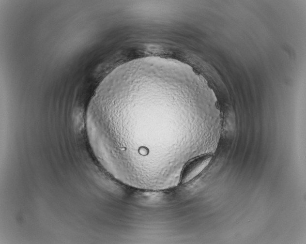 X0000110880478200907021501