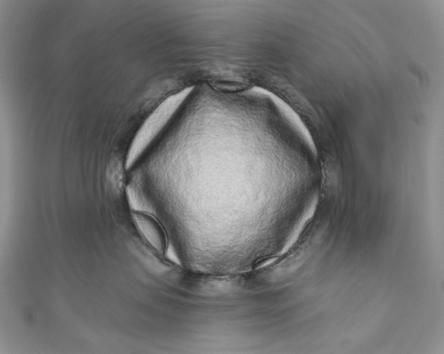 X0000110880479200907021501