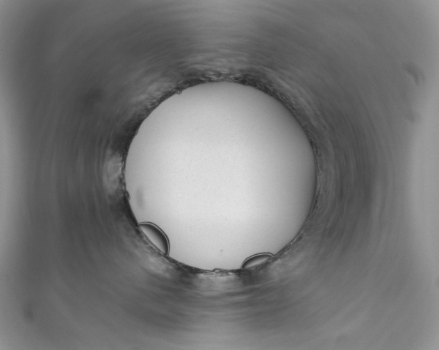 X0000110880480200907021501