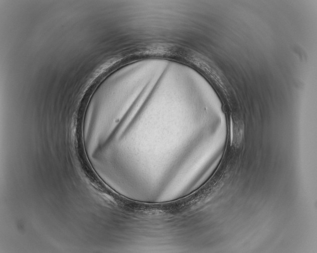 X0000110880483200907021500