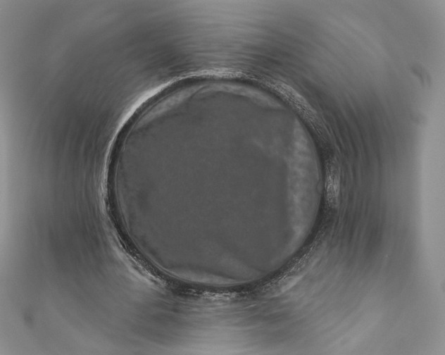 X0000110880484200907021500