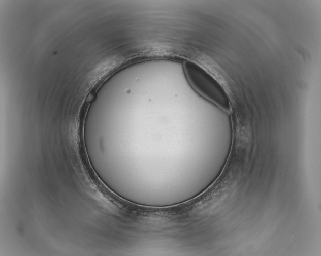 X0000110880485200907021500