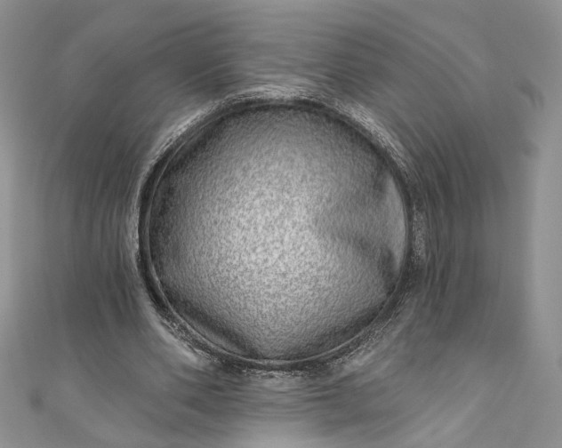 X0000110880486200907021500