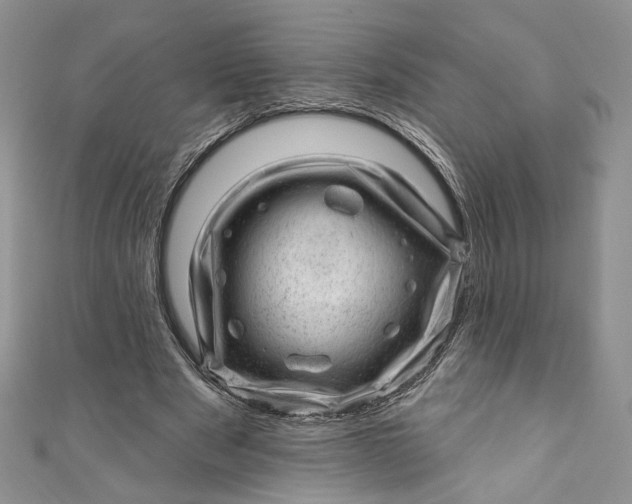 X0000110880489200907021500