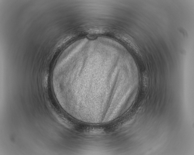 X0000110880491200907021500