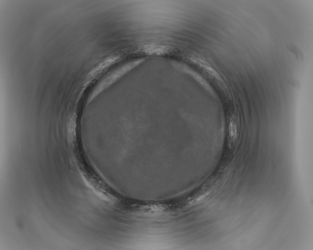 X0000110880492200907021500