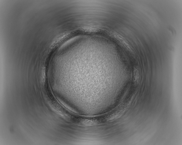 X0000110880494200907021500