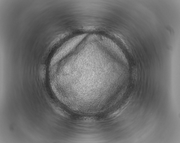 X0000110880495200907021500
