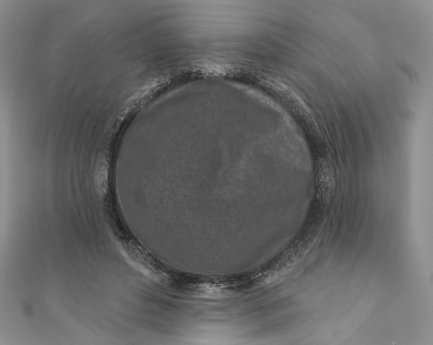 X0000110880496200907021500