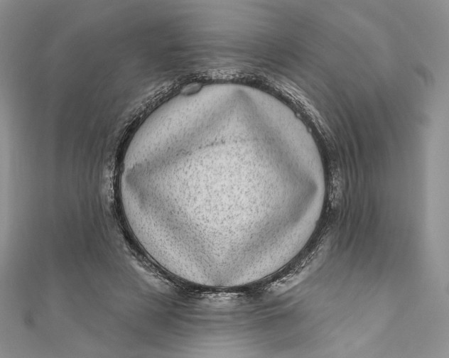 X0000110880497200907021500