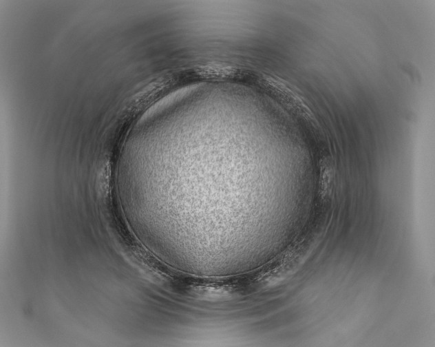 X0000110880498200907021500