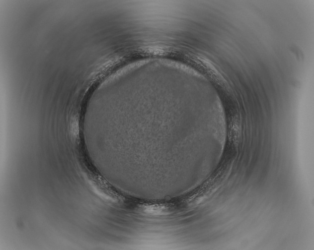 X0000110880500200907021500