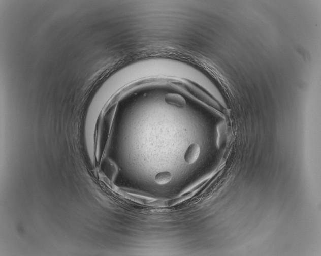 X0000110880501200907021500
