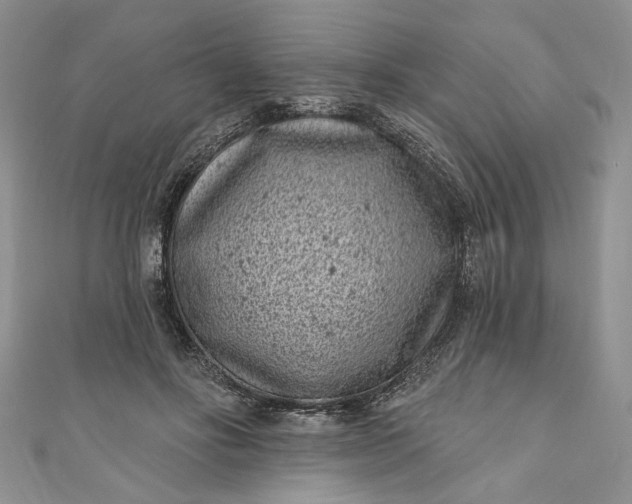X0000110880502200907021500