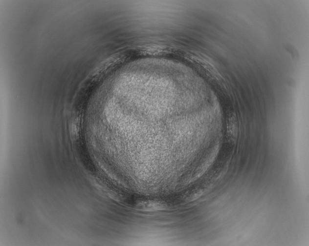 X0000110880503200907021500