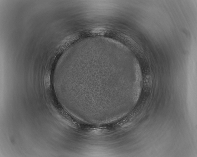X0000110880504200907021500