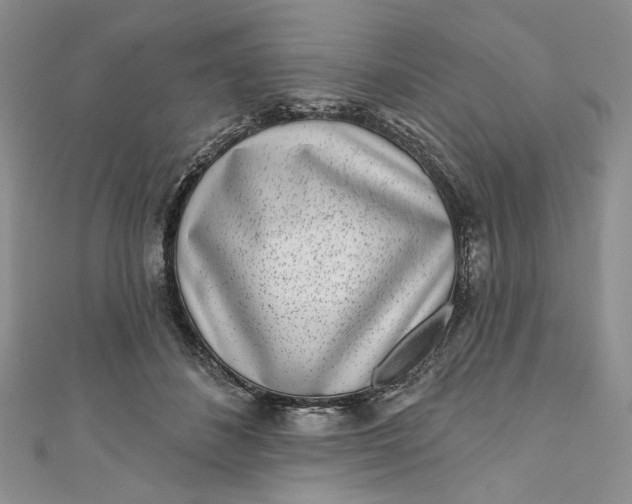 X0000110880508200907021500