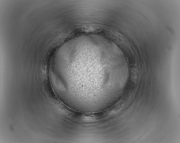 X0000110880510200907021500