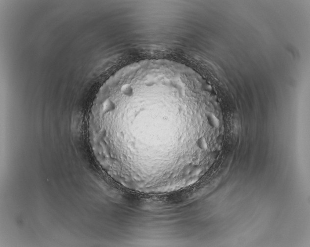 X0000110880511200907021500