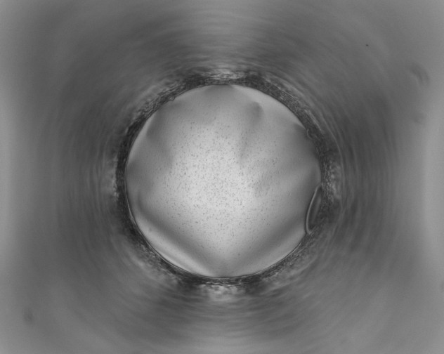 X0000110880512200907021500