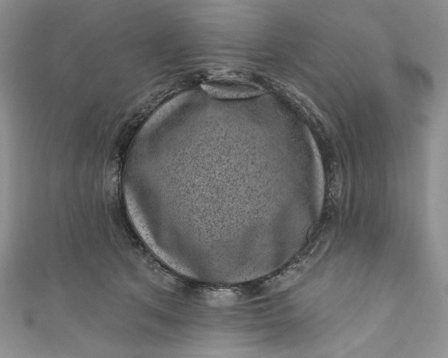 X0000110880513200907021500