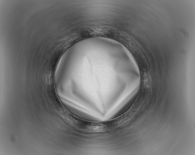 X0000110880514200907021459