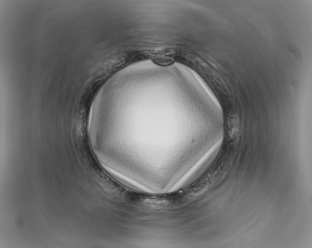 X0000110880515200907021459