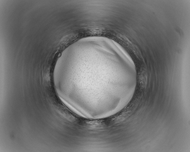 X0000110880516200907021459