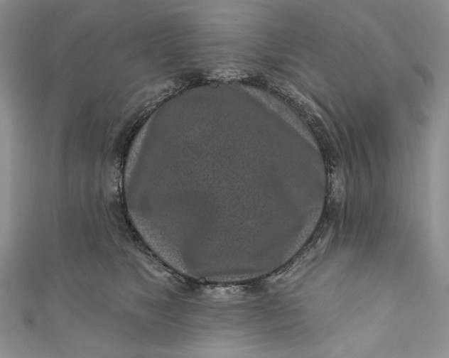 X0000110880517200907021459