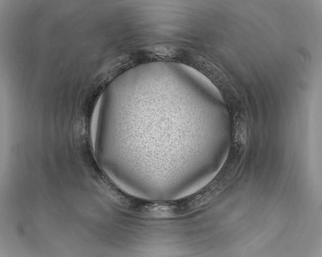 X0000110880518200907021459