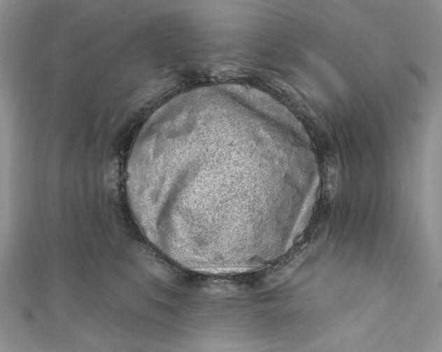 X0000110880519200907021459