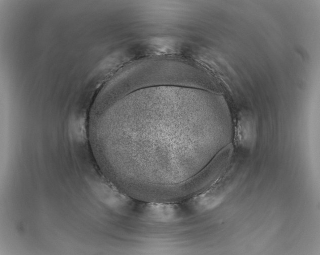 X0000110880520200907021459