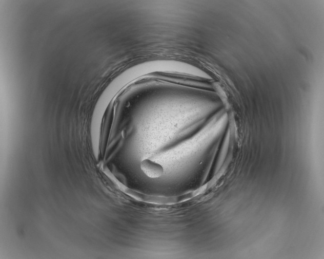 X0000110880521200907021459