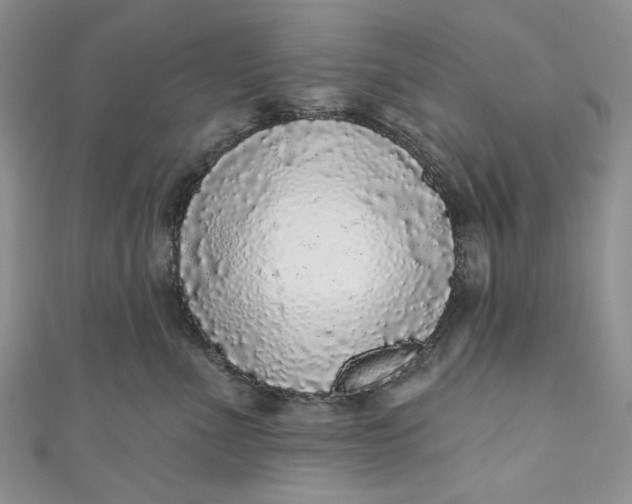 X0000110880523200907021459