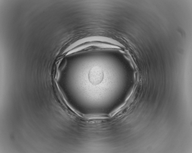 X0000110880524200907021459